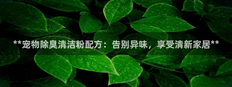 尊龙网页