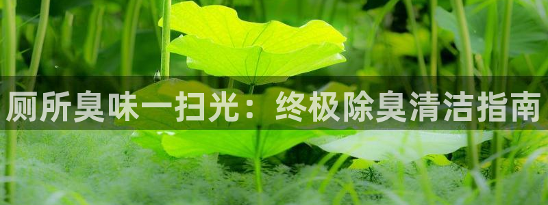 尊龙手机客户端app