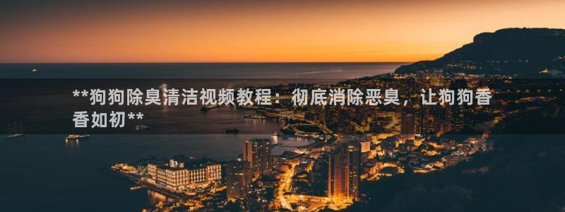 d88尊龙平台开户