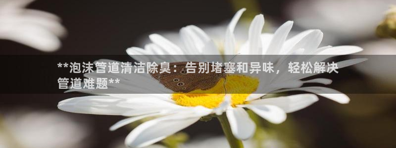 尊龙人生就是博网站
