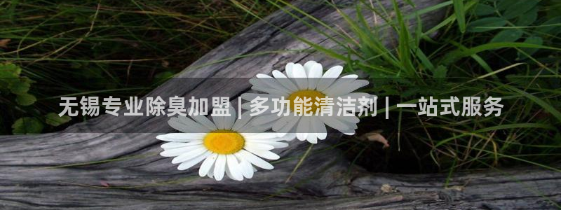 尊龙凯时只输不赢：无锡专业除臭加盟 | 多功能清洁剂 |