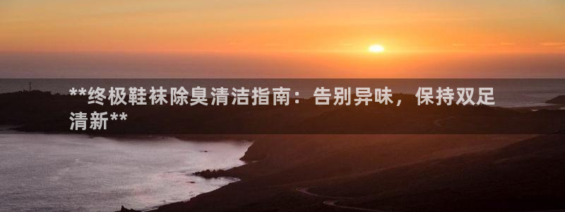 尊龙人生就是博中国区：**终极鞋袜除臭清洁指南：告别异味