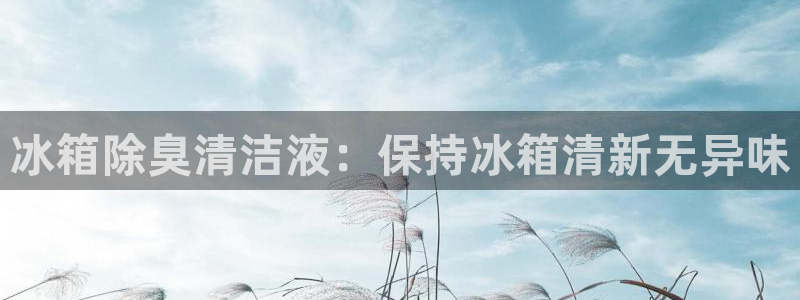 尊龙人生就是博旧版