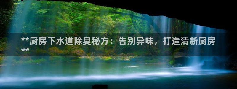 尊龙一人生就是博尊：**厨房下水道除臭秘方：告别异味，打