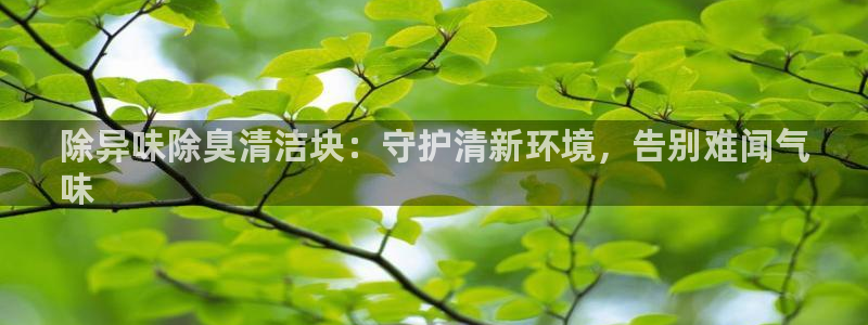 尊龙现金推荐ag发财网：除异味除臭清洁块：守护清新环境，