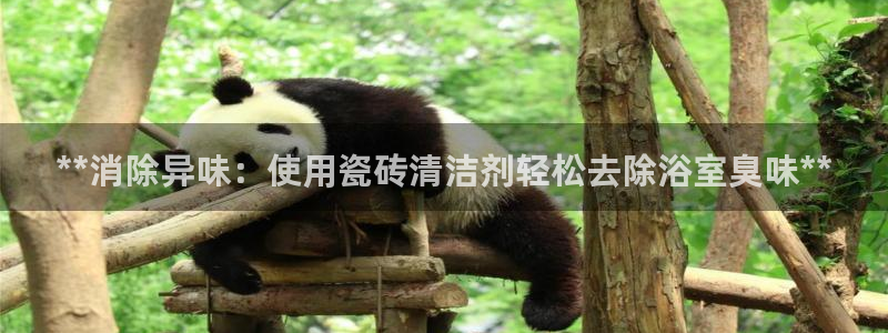 尊龙手机版下载