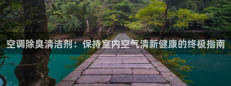 尊龙中国：空调除臭清洁剂：保持室内空气清新健康的终极指南