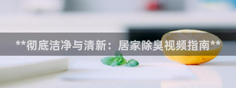 尊龙目前在哪