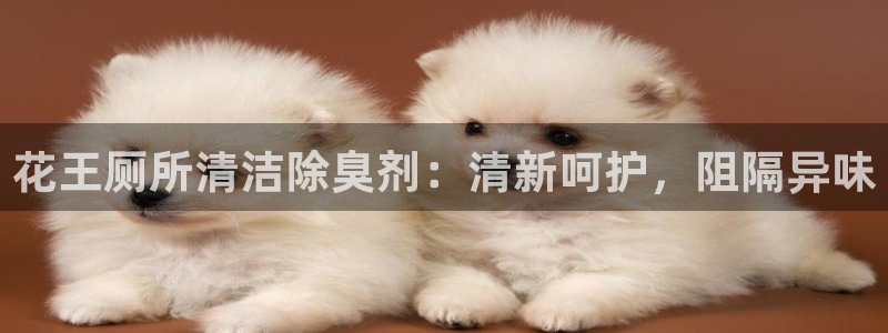 尊龙凯时app安装：花王厕所清洁除臭剂：清新呵护，阻隔异