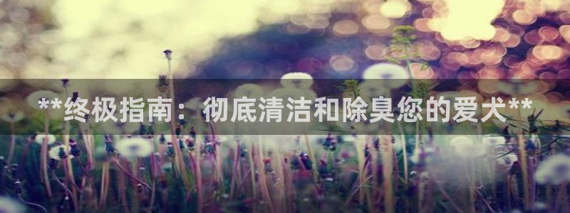 尊龙凯时代理能提出来不