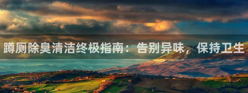 尊龙在线登录官网：蹲厕除臭清洁终极指南：告别异味，保持卫