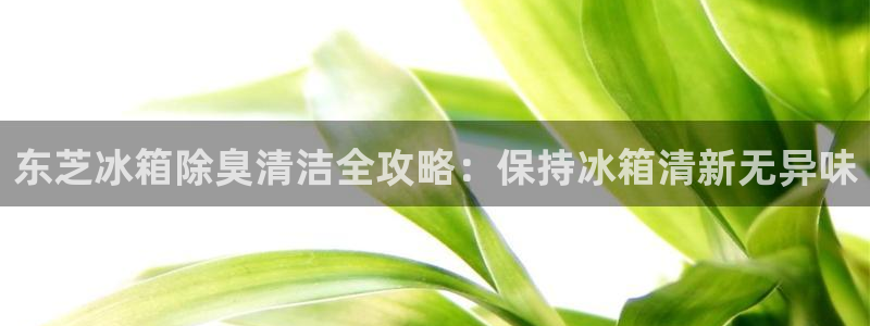 凯时kb88官方