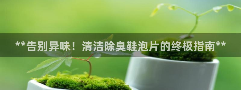 尊龙ag旗舰厅登陆