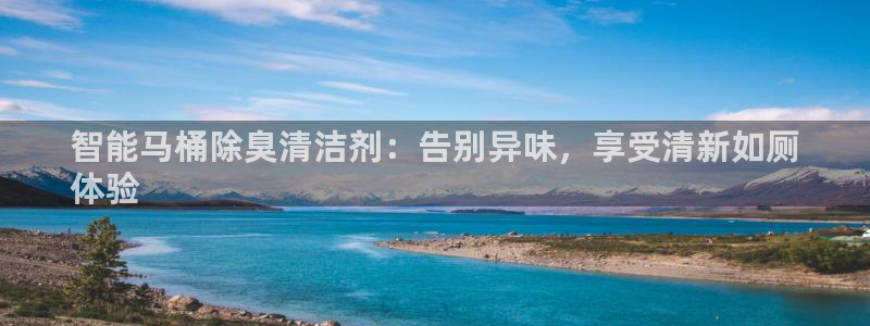 尊龙内地：智能马桶除