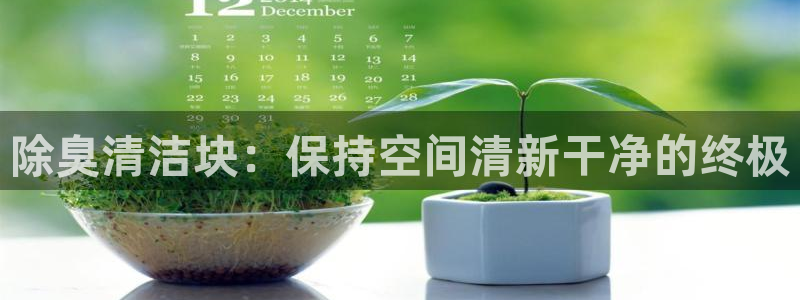 尊龙d88手机登录免费下载：除臭清洁块：保持空间清新干净