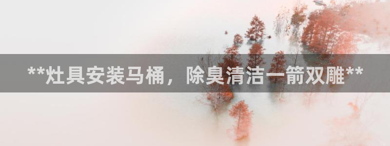 尊龙尊龙：**灶具安装马桶，除臭清洁一箭双雕**