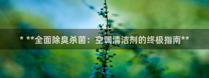 AG尊龙注册在线游戏：* **全面除臭杀菌：空调清洁剂的