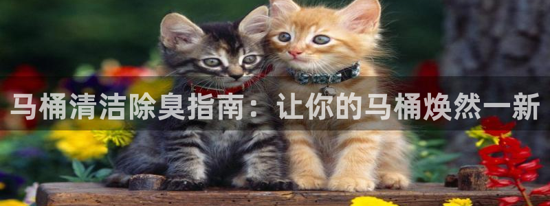 尊龙凯时平台入口
