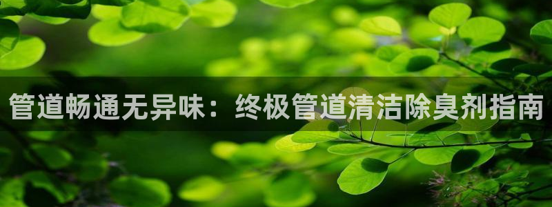 凯时国际app首页：管道畅通无异味：终极管道清洁除臭剂指
