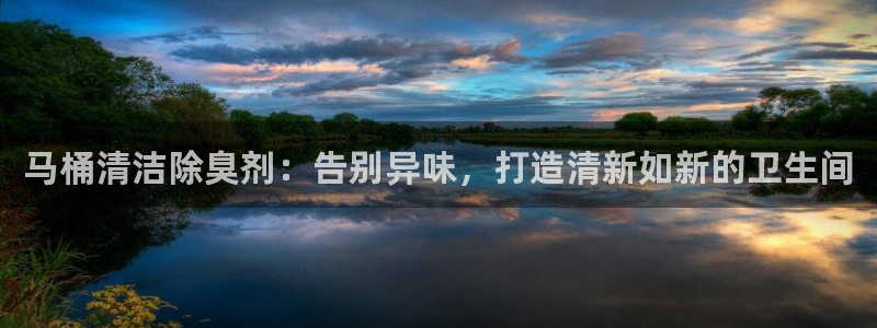 下载尊龙app：马桶
