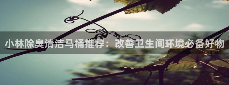 尊龙d88官网确来就送38：小林除臭清洁马桶推荐：改善卫