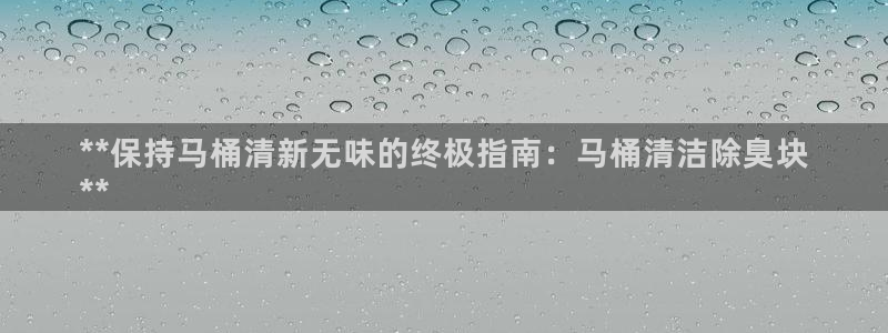 尊龙ag旗舰厅官网官方入口：**保持马桶清新无味的终极指
