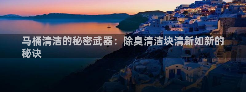 尊龙网站 人生就是博：马桶清洁的秘密武器：除臭清洁块清新