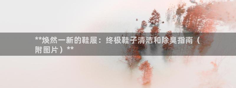 尊龙现金娱乐 下载：**焕然一新的鞋履：终极鞋子清洁和除