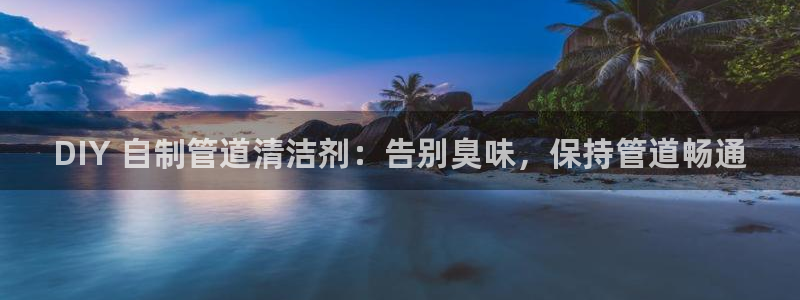 z6尊龙凯时旗舰厅：DIY 自制管道清洁剂：告别臭味，保