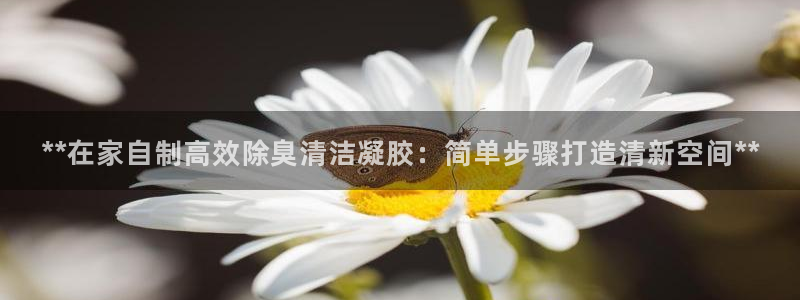 尊龙凯时官网网页版：**在家自制高效除臭清洁凝胶：简单步