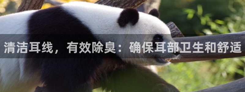 尊龙凯时平台正规吗：清洁耳线，有效除臭：确保耳部卫生和舒