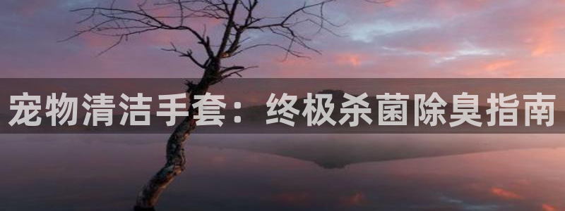 KB88凯时官网：宠物清洁手套：终极杀菌除臭指南