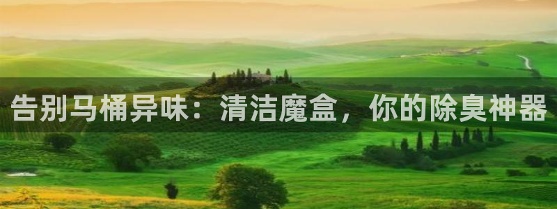 尊龙新版App下载：告别马桶异味：清洁魔盒，你的除臭神器
