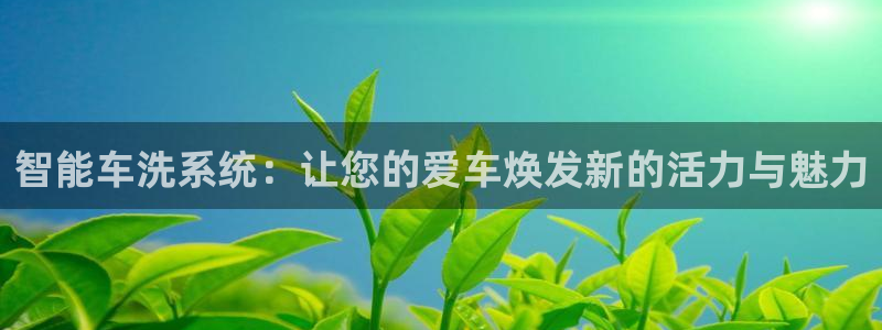 凯时国际最新