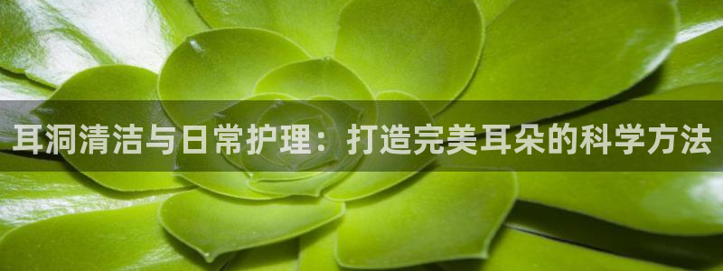 尊龙ag旗舰厅官网·(中国)官方入口