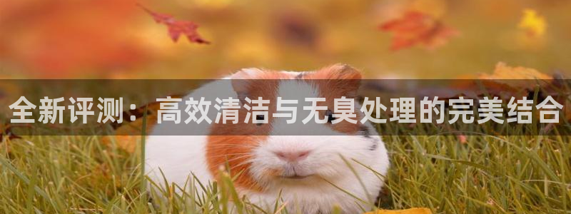 尊龙旗舰app