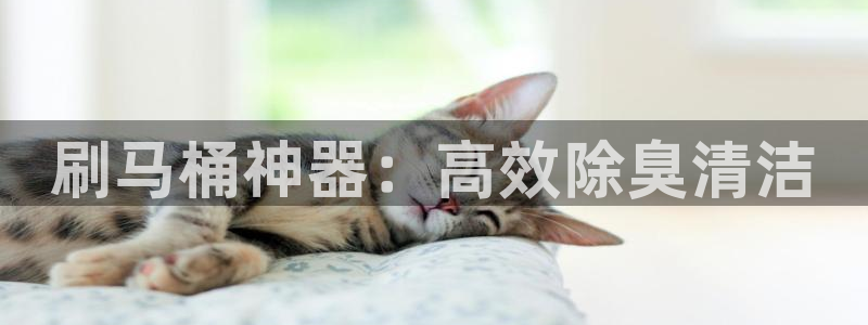 K66凯时国际平台官网