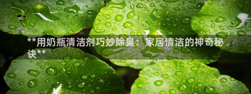 尊龙凯时和九游会哪个平台好一点：**用奶瓶清洁剂巧妙除臭