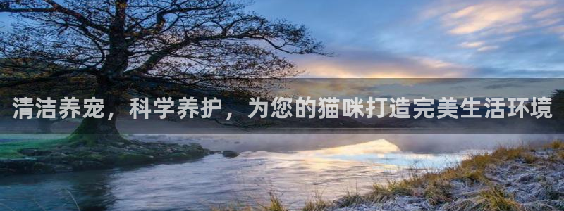 尊龙凯时有限公司