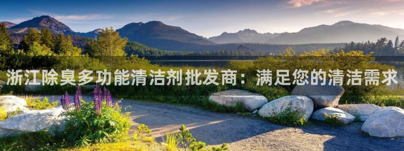 尊龙官方APP下载：浙江除臭多功能清洁剂批发商：满足您的